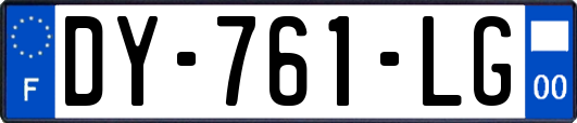 DY-761-LG