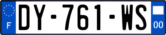 DY-761-WS