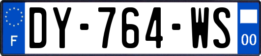 DY-764-WS