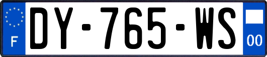 DY-765-WS