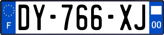 DY-766-XJ