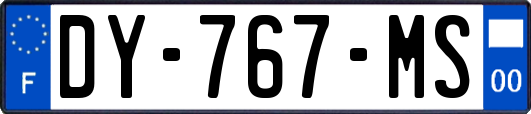 DY-767-MS