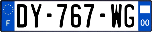 DY-767-WG