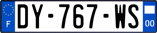 DY-767-WS