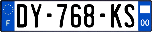 DY-768-KS