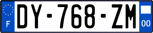 DY-768-ZM