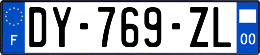 DY-769-ZL