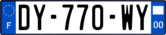 DY-770-WY