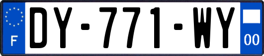 DY-771-WY