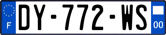 DY-772-WS