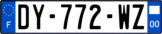 DY-772-WZ