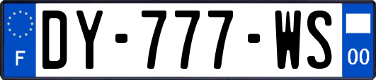 DY-777-WS