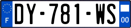 DY-781-WS