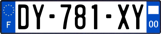 DY-781-XY