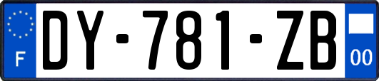 DY-781-ZB