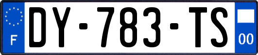 DY-783-TS