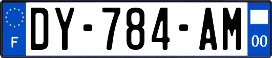 DY-784-AM