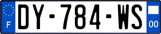 DY-784-WS