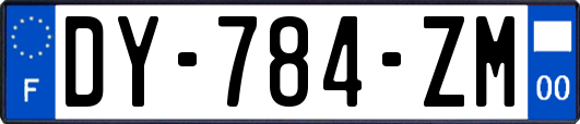 DY-784-ZM