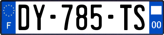 DY-785-TS