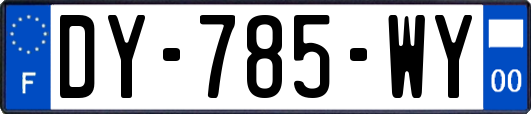 DY-785-WY