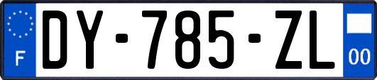 DY-785-ZL