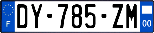 DY-785-ZM