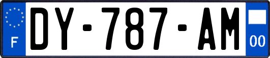 DY-787-AM