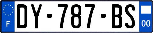 DY-787-BS