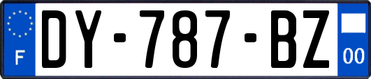 DY-787-BZ