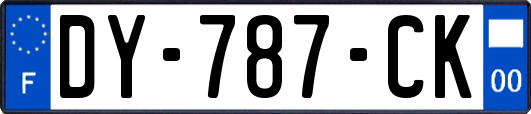 DY-787-CK