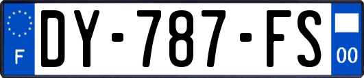 DY-787-FS