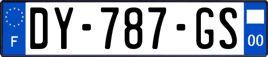 DY-787-GS