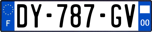 DY-787-GV