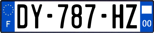 DY-787-HZ