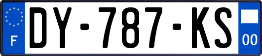 DY-787-KS