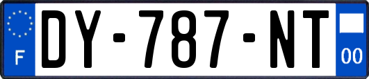 DY-787-NT
