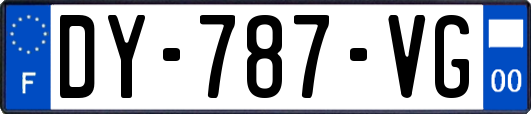 DY-787-VG