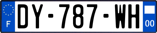 DY-787-WH