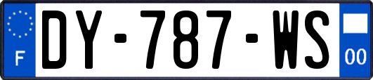 DY-787-WS