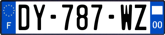 DY-787-WZ