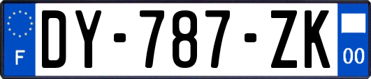 DY-787-ZK