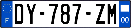 DY-787-ZM