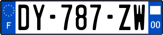 DY-787-ZW