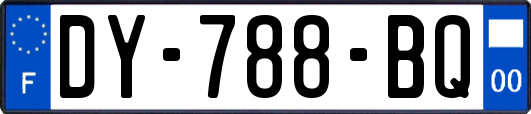 DY-788-BQ