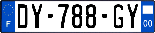 DY-788-GY