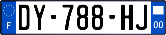 DY-788-HJ