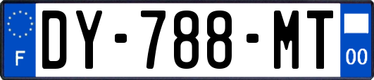 DY-788-MT