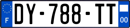 DY-788-TT