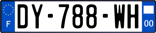 DY-788-WH